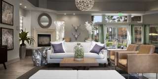 Cimarron Apartments Gallery 45