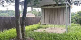 10226 Lion Hunt Gallery 46