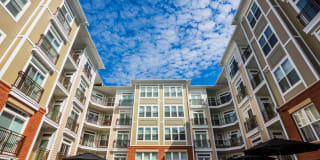 The Point at Dunn Loring Gallery 19