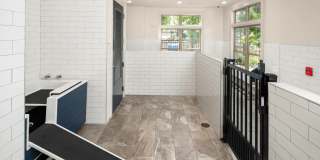 The Lights at Northwinds Gallery 6