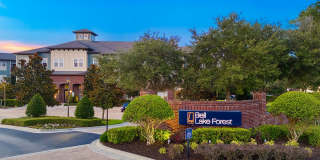 Bell Lake Forest Gallery 38