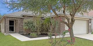 4096 Cherry Tree Gallery 1