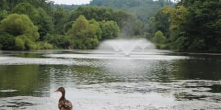 Modera 44 Gallery 48