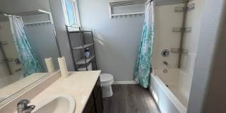 AVAILABLE NOW! LEASE TODAY! 4 Bedroom 3 Bath Elk Grove Home with Bonus Room! Gallery 33
