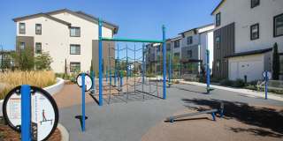 The Strand Gallery 40