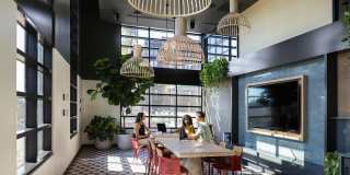 Orlo & Alba Gallery 6