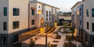 North Grove Gallery 4