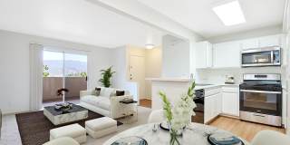 The Terrace Apartments Gallery 46