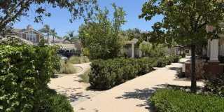 11139 Snapdragon Street Gallery 32