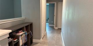 15113 PACEY COVE DRIVE Gallery 14