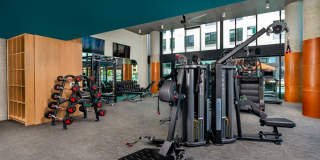 The Wyatt at Makers Quarter Gallery 28