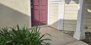 170 Amberway Apartments Gallery 3