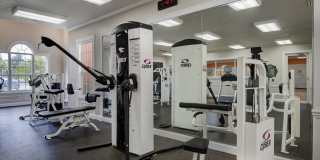 Victoria Place Gallery 84