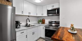 Charming Studio Condo in Denver Gallery 1