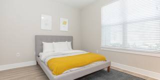 Territory at Greenhouse Gallery 7