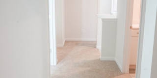 Available Soon! Gallery 20