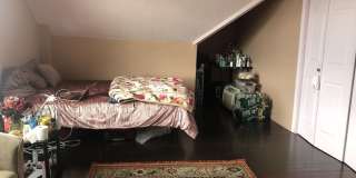 10 Underwood Park Gallery 27
