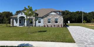 10060 DOLPHIN GULL CIRCLE Gallery 1