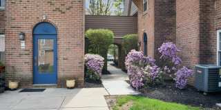 Meadowbrook Gallery 20