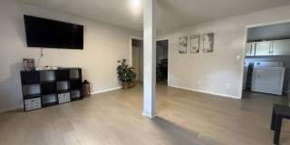 109 Bonham apt C Gallery 1