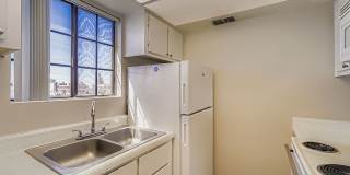 Rise on Cactus Gallery 92