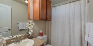 AUG PRE-LEASE! Beautiful 3 Bed/2 Bath in Edgewater Near RELLIS! Gallery 1