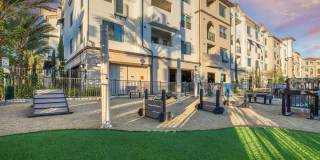 Vineyards Gallery 48