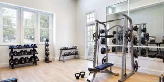 Avalon Russett Gallery 21