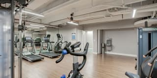 Henley And Remy Gallery 7