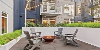 Adera Gallery 20