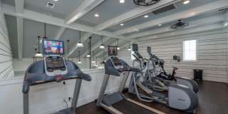 Red Knot at Edinburgh Gallery 25