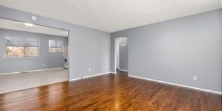 2 Bedroom, 1 Bath Apartment Gallery 17