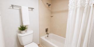Alta Living Gallery 11