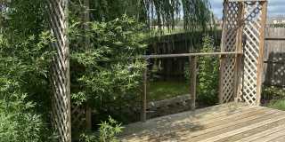 3216 Claymore Street Gallery 17