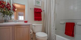 3146 CHAMA MEADOWS Drive NE 3146 CHAMA MEADOWS Drive NE Gallery 23
