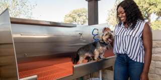 Brightleaf at Lakeline Gallery 42