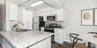 Palms at South Mountain Gallery 6