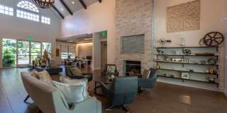 Magnolia at Milton Gallery 2