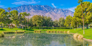 67579 S Laguna Drive Gallery 28