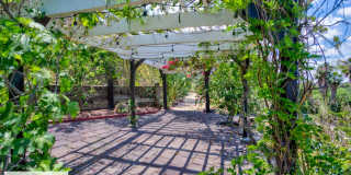 An Oasis of Calm In the Center of Riverside, CA Gallery 52