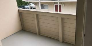 Bright 1 Bed / 1 Bath Apartment for Rent in North Seattle Private Balcony, Near Green Lake & Northgate! Gallery 14