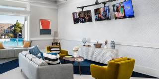 Arwen Vista Gallery 29