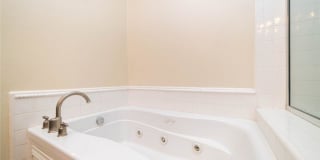 41 Bamboo Gallery 16