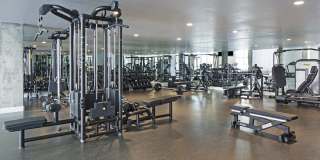 The Fifty Five Fifty Gallery 9