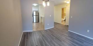 82-76 Country Pointe Circle Gallery 3