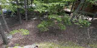 5709 Decker Road Gallery 24