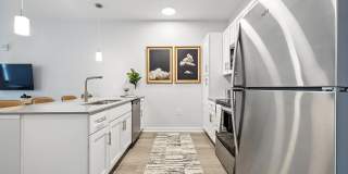 The Stella Gallery 46