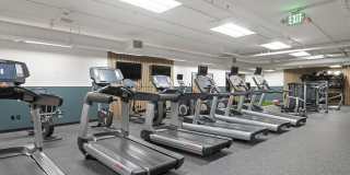 Novi at Queen Anne Gallery 29