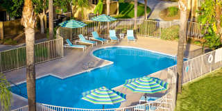 Citrus Place Gallery 40