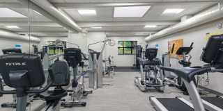 Parkridge Parkridge Gallery 20